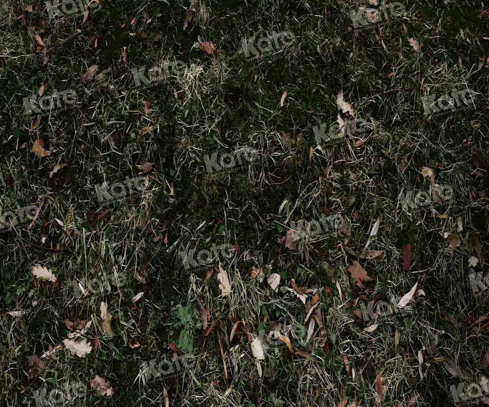 Graslandweide-achtergrond voor fotografie