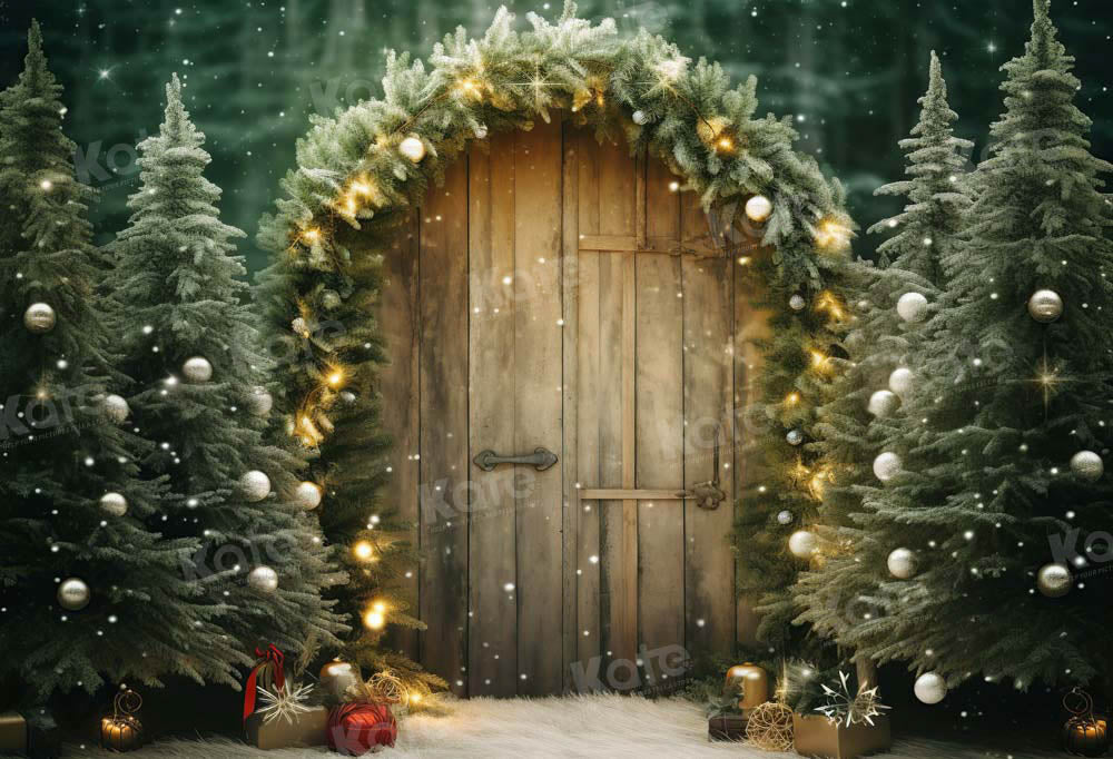 Kate Christmas Green Barn Door Backdrop Designed by Chain Photography