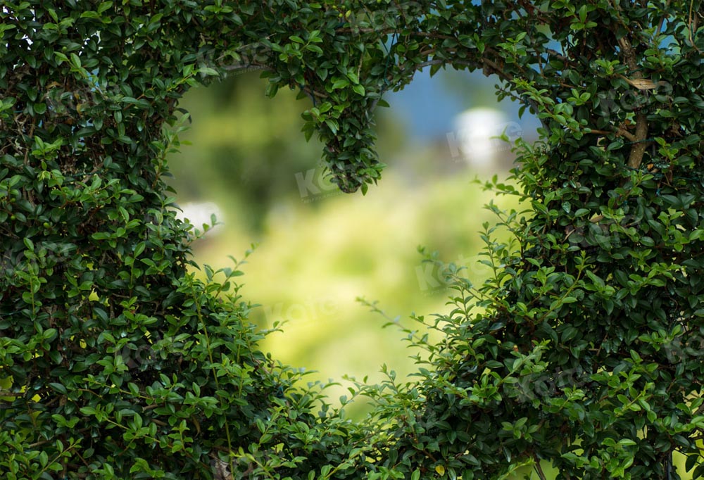 Fondo verde de bokeh para fotografía de San Valentín con agujero de amor