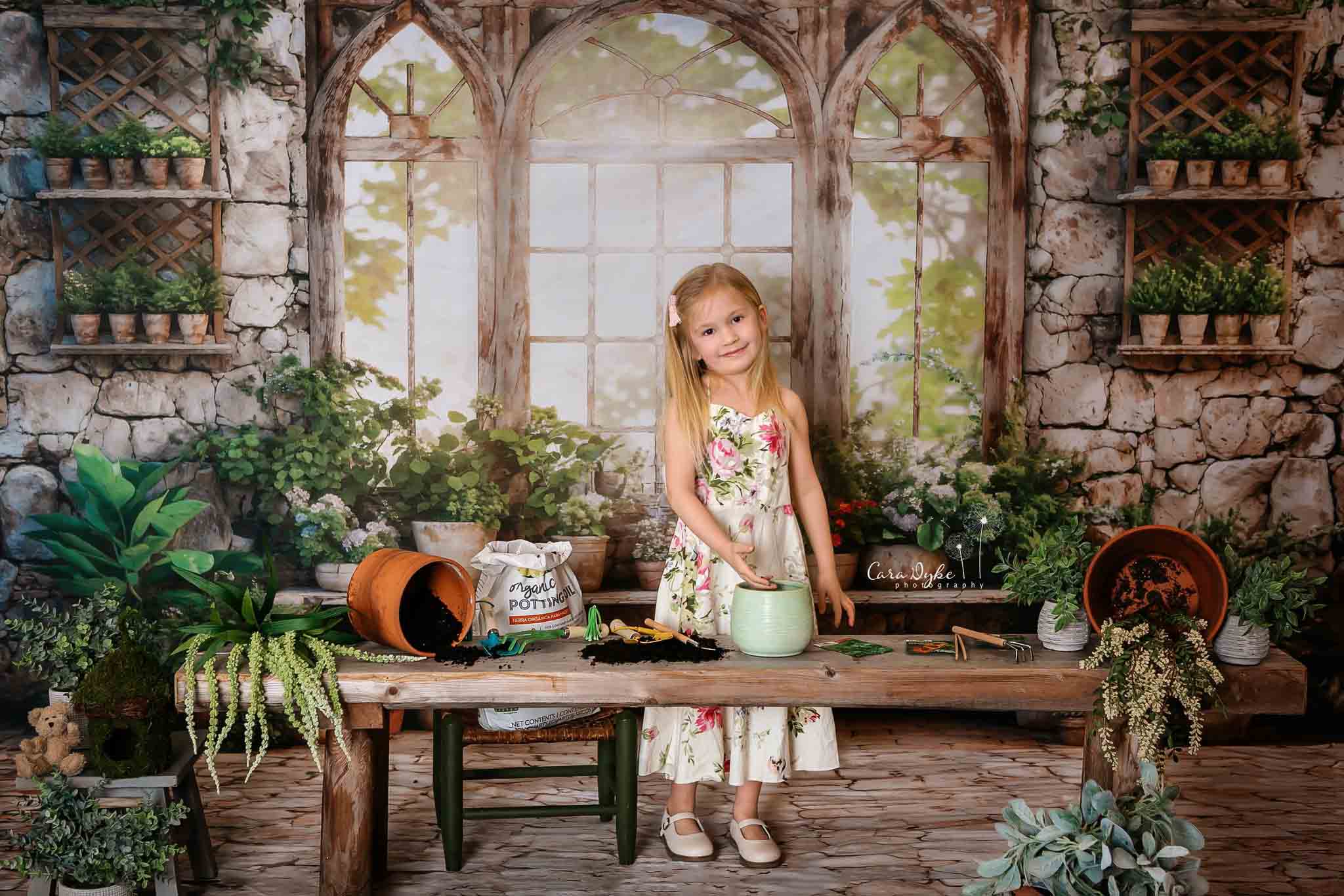 Piante verdi di primavera per finestra soleggiata sfondo realizzato da Catena Fotografica