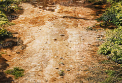 Kate Muddy Path Floor Printed Backdrop Designed by Kate Image
