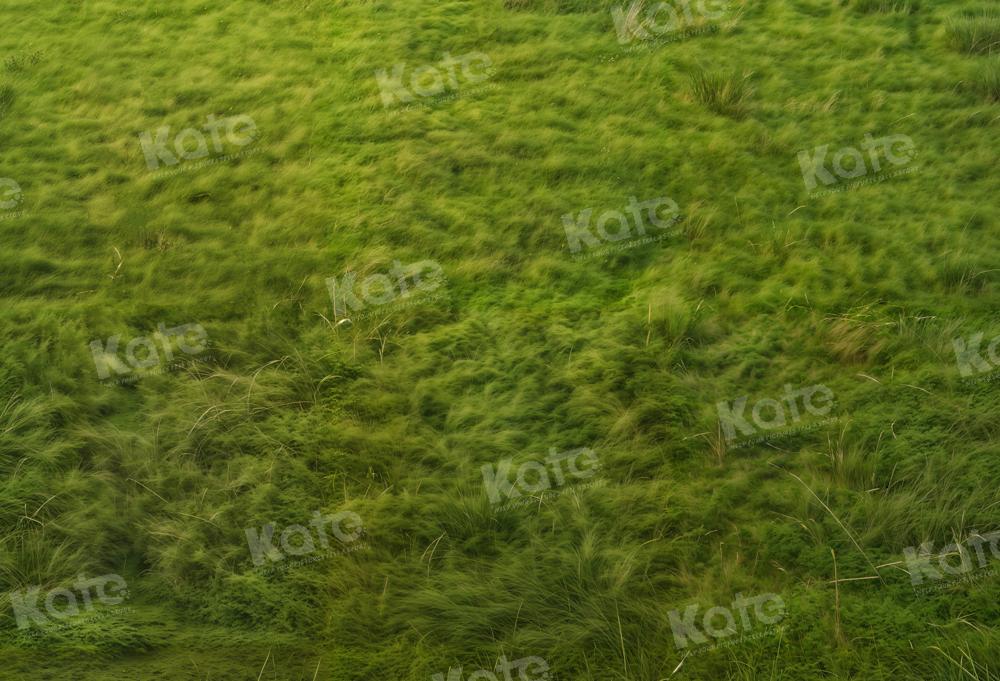 Sfondo in erba primaverile progettato da Kate Immagine