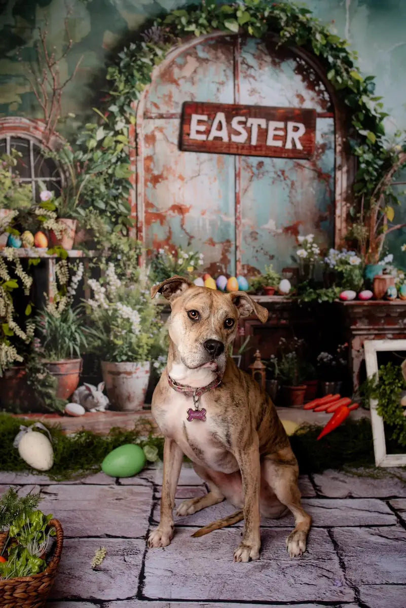 Kate Easter Green Plant Peter Rabbit Printed Backdrop Designed by Emetselch