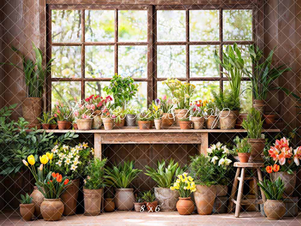 Lente Groene Plant Vensterkamer Foto Achtergrond Ontworpen door Chain Photography