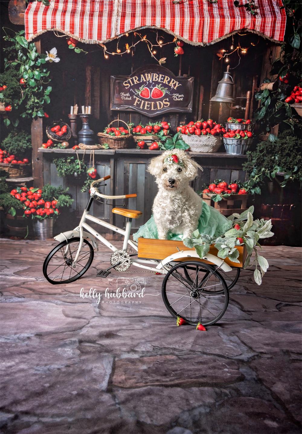 Kate Pet Spring Plant Green Strawberry Field Backdrop Designed by Emetselch