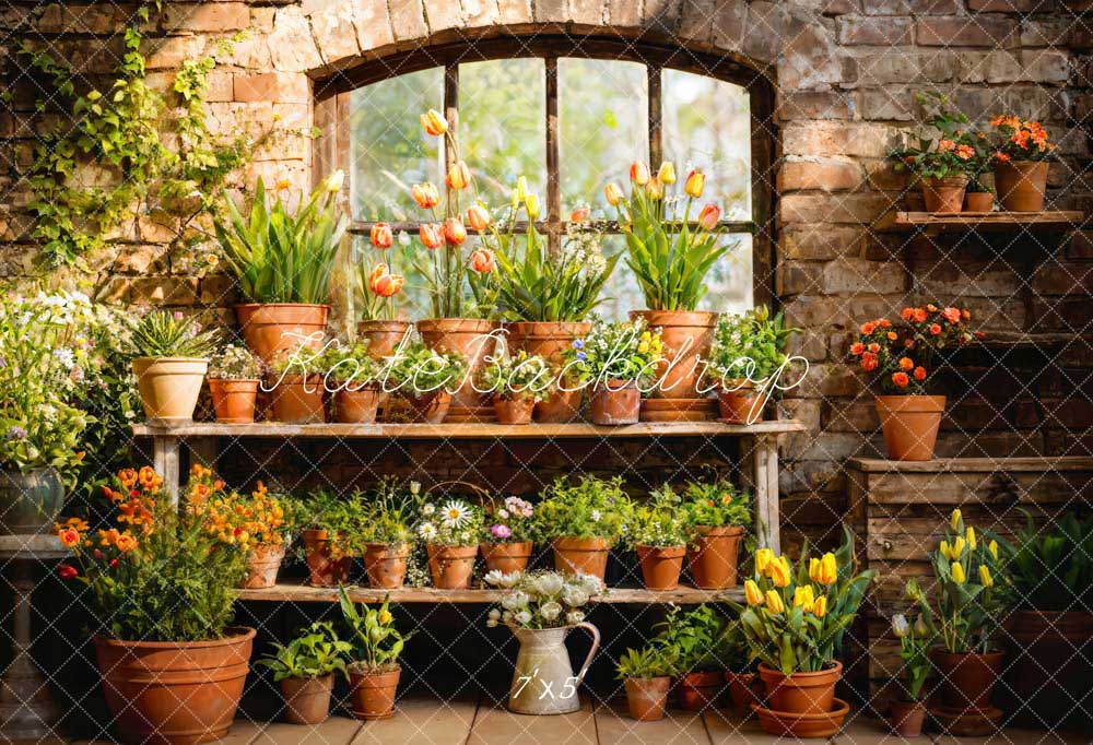 Kate Spring Green Plant Window Room Printed Backdrop Designed by Emetselch