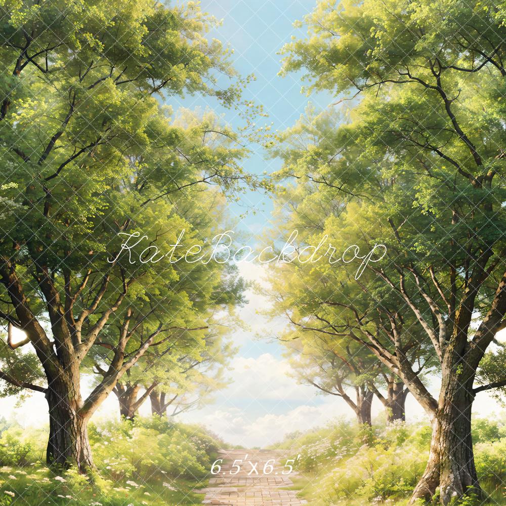 Árboles verdes de primavera en el fondo del sendero de pasto diseñado por Chain Photography