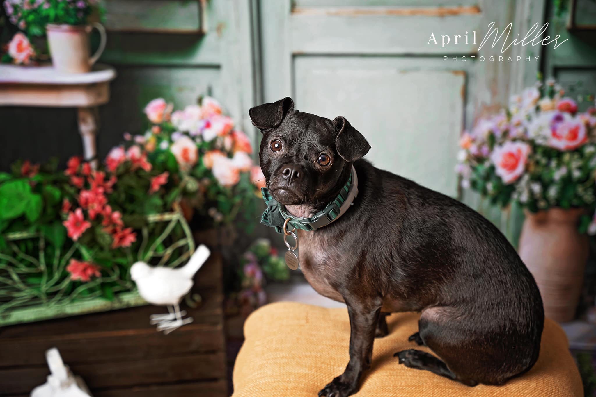 Kate Spring Flowers Green Wooden Door Backdrop Designed by Emetselch