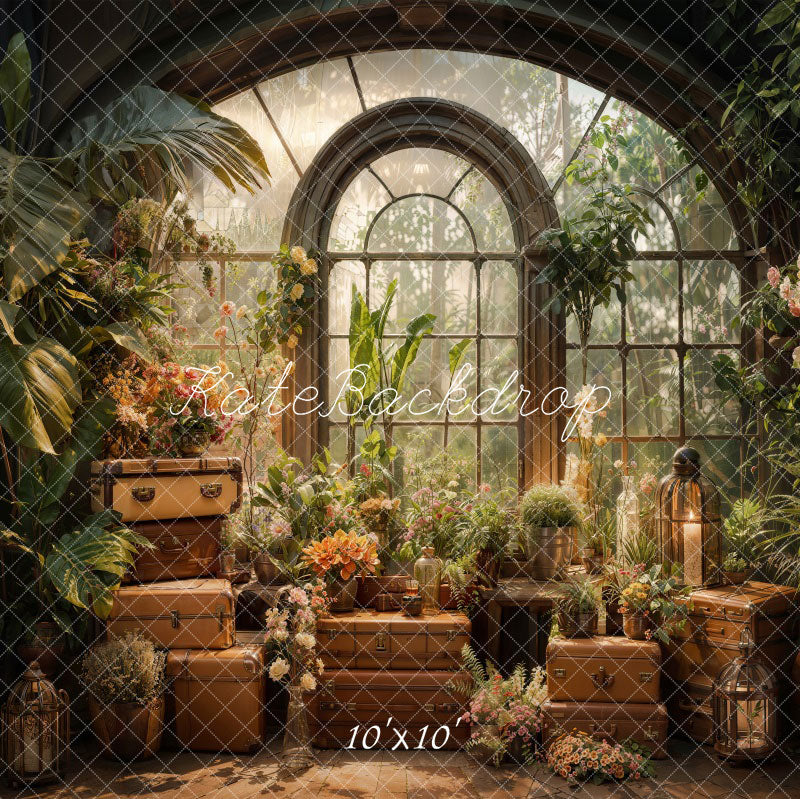 Lente Groene Plant Venster Foto Achtergrond Ontworpen door Chain Photography