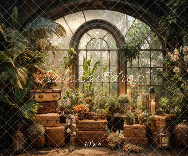 Lente Groene Plant Venster Foto Achtergrond Ontworpen door Chain Photography