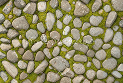 Lente Gras Steenvloer Foto Achtergrond Ontworpen door Beeld