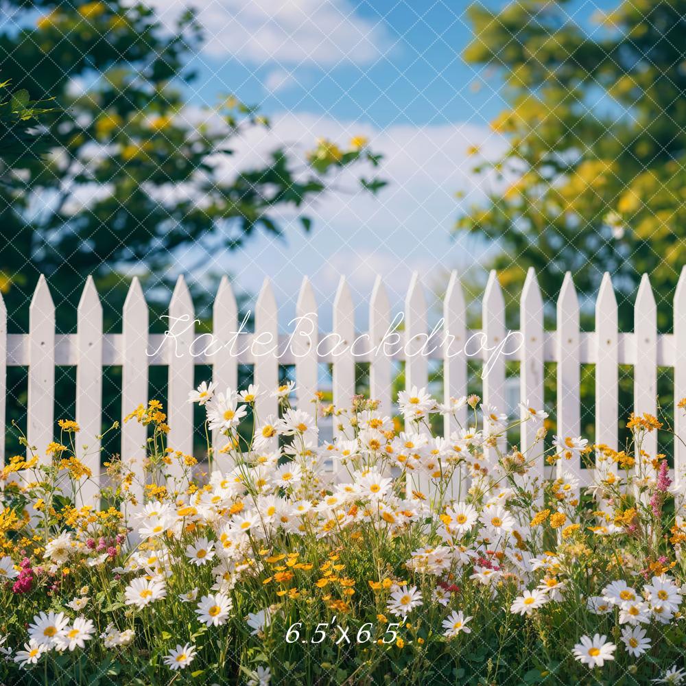 Diseño de valla de margaritas de primavera por Chain Photography