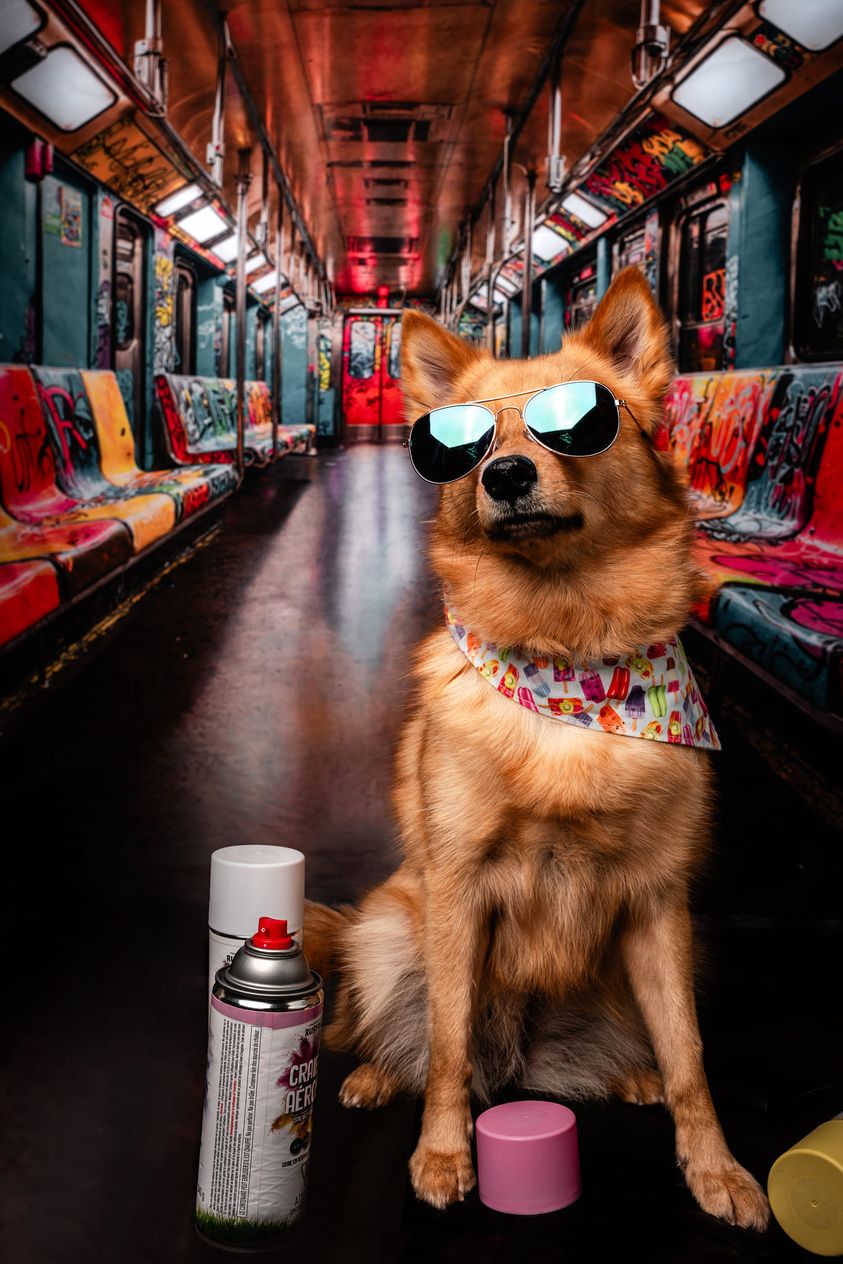 Fondo de graffiti creativo para mascotas en el metro diseñado por Emetselch