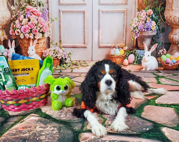 Sfondo con archi di conigli floreali di Pasqua progettato da Emetselch