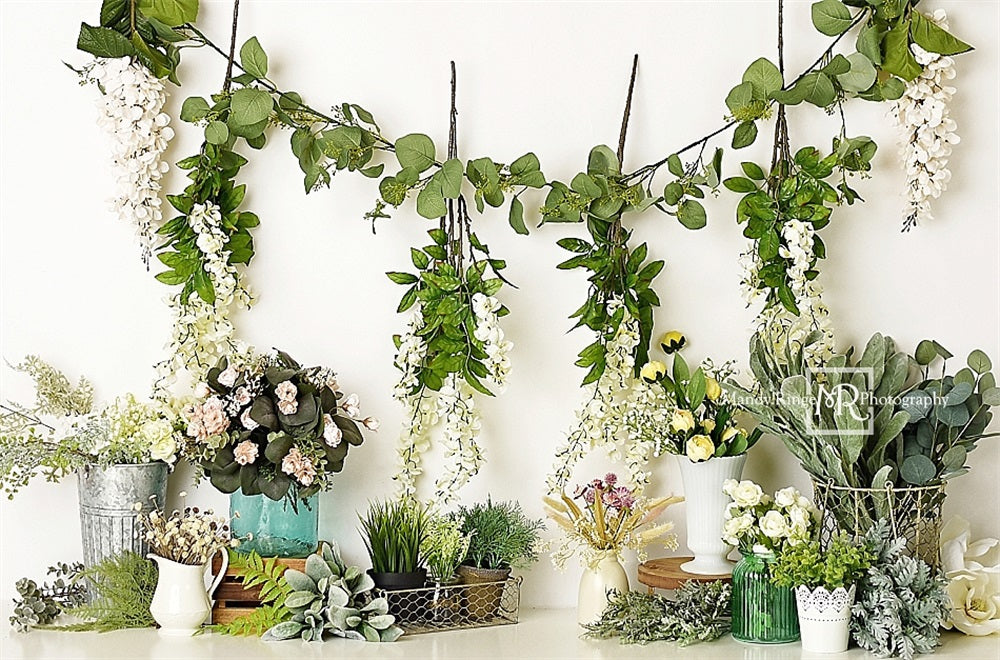 Sfondo bianco con pianta verde primaverile colorata di fiori, progettato da Mandy Ringe Photography