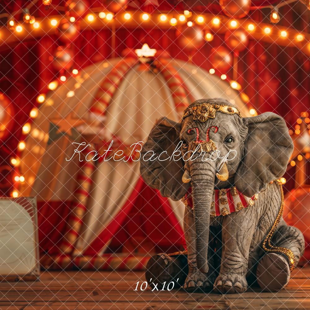 Arco de globos rojos bokeh para el cumpleaños de circo del elefante con pastel smash diseñado por Emetselch