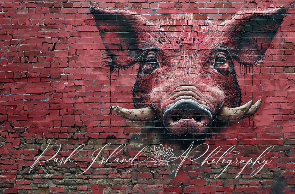 Sfondo rosso scuro graffiti Fierce Razorback Hog rompio il muro di mattoni progettato da Laura Bybee