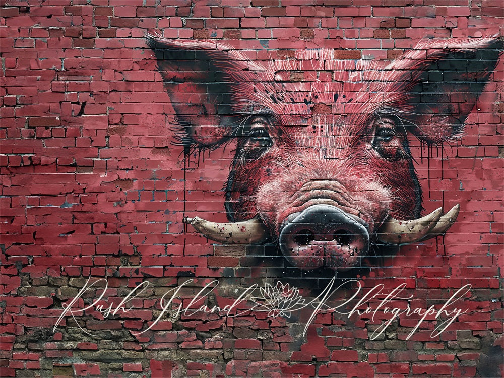 Sfondo rosso scuro graffiti Fierce Razorback Hog rompio il muro di mattoni progettato da Laura Bybee