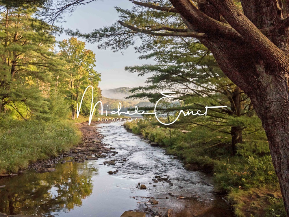 Fondo de bosque y lago al aire libre de verano en la pradera de montaña diseñado por Michele Ernst Photography.