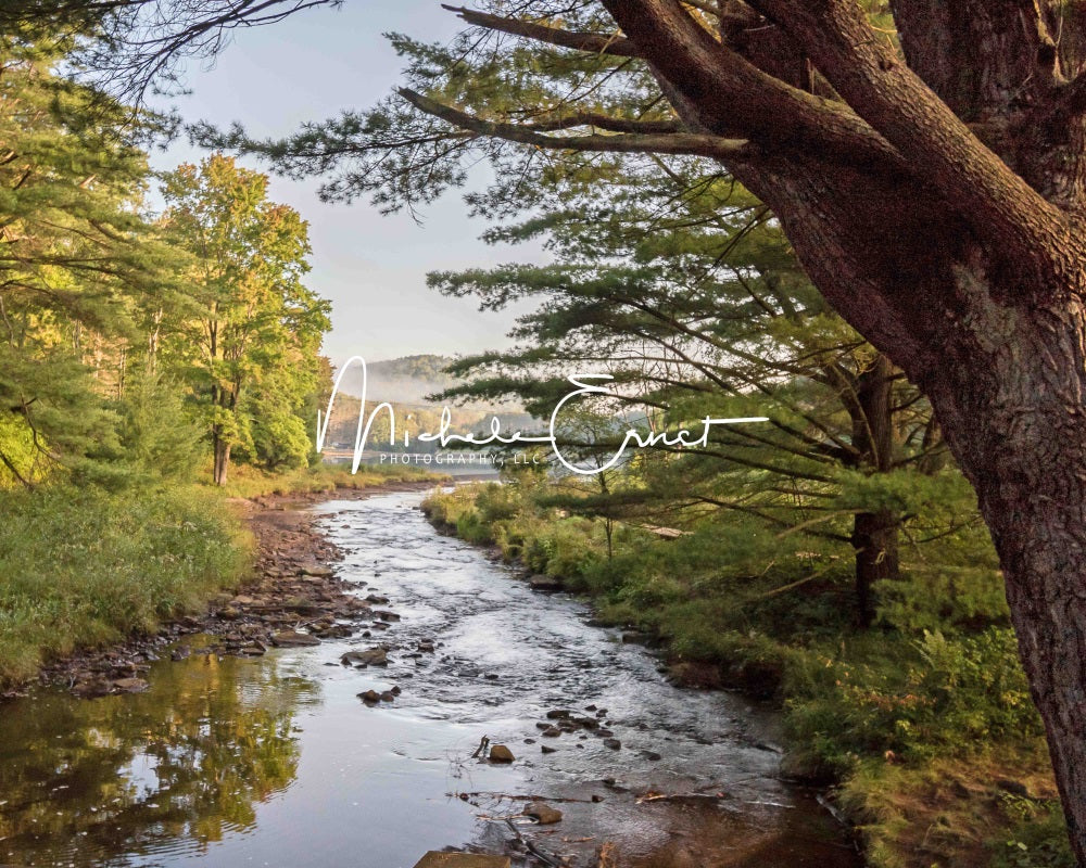 Fondo de bosque y lago al aire libre de verano en la pradera de montaña diseñado por Michele Ernst Photography.