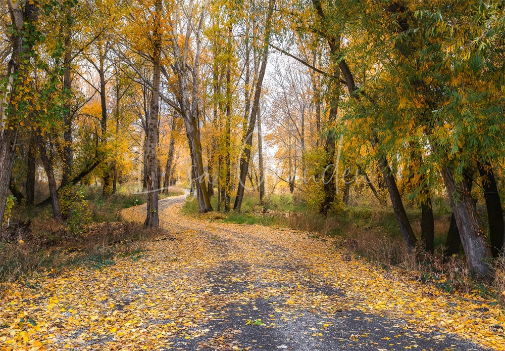 Fondo de bosque al aire libre en otoño en un camino rural para fotografía diseñado por Lisa Granden