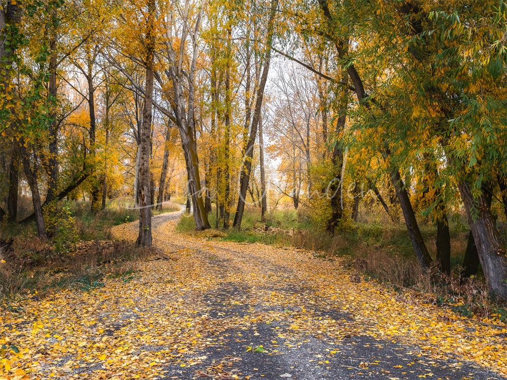 Fondo de bosque al aire libre en otoño en un camino rural para fotografía diseñado por Lisa Granden