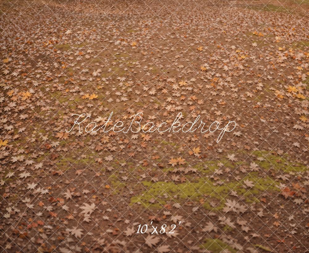 Kate Autumn Forest Yellow Maple Leaves Wet Meadow Floor Backdrop Designed by Kate Image