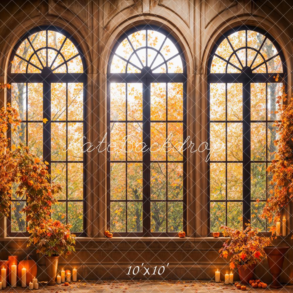 Kate Fall Forest Maple Leaves Black Arched Window Backdrop Designed by Emetselch