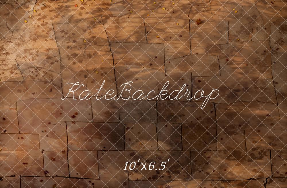 Kate Dark Brown Stone Texture Floor Backdrop Designed by Kate Image