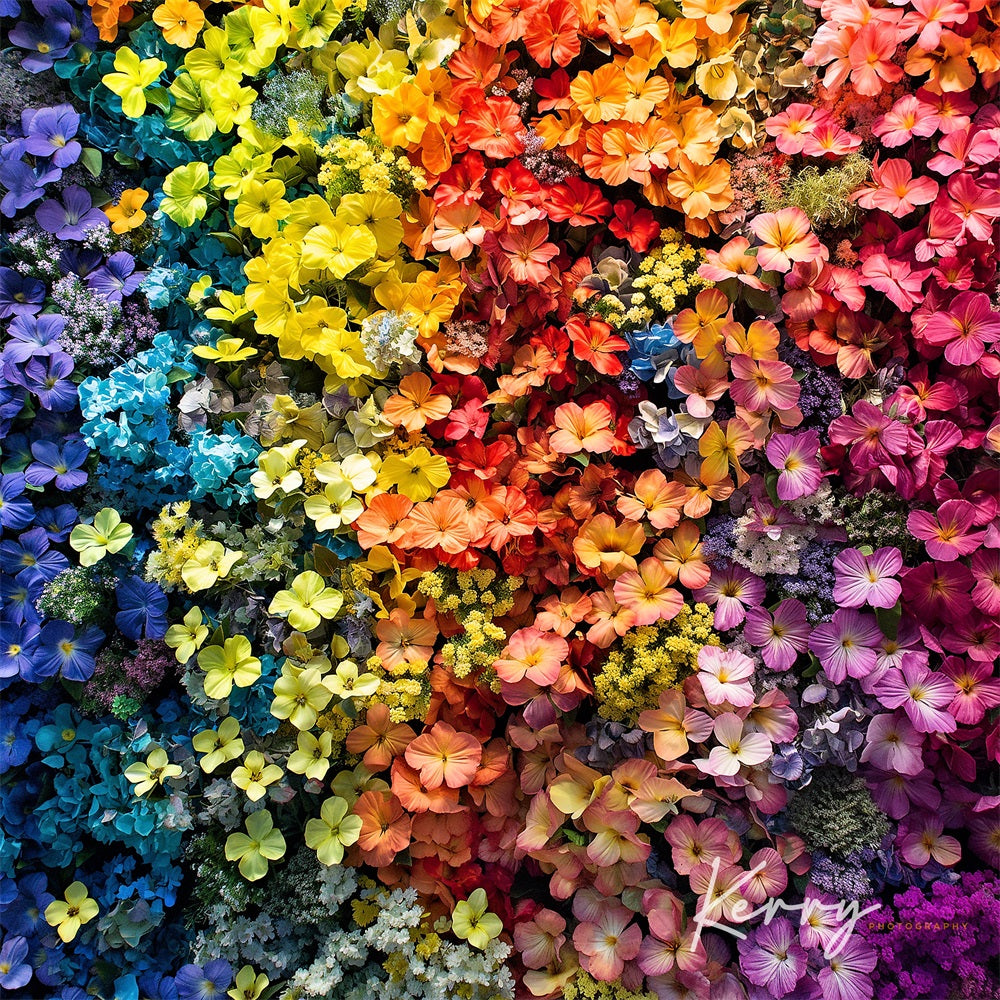 Kate Fine Art Colorful Flower Wall Backdrop for Photography Designed by Kerry Anderson