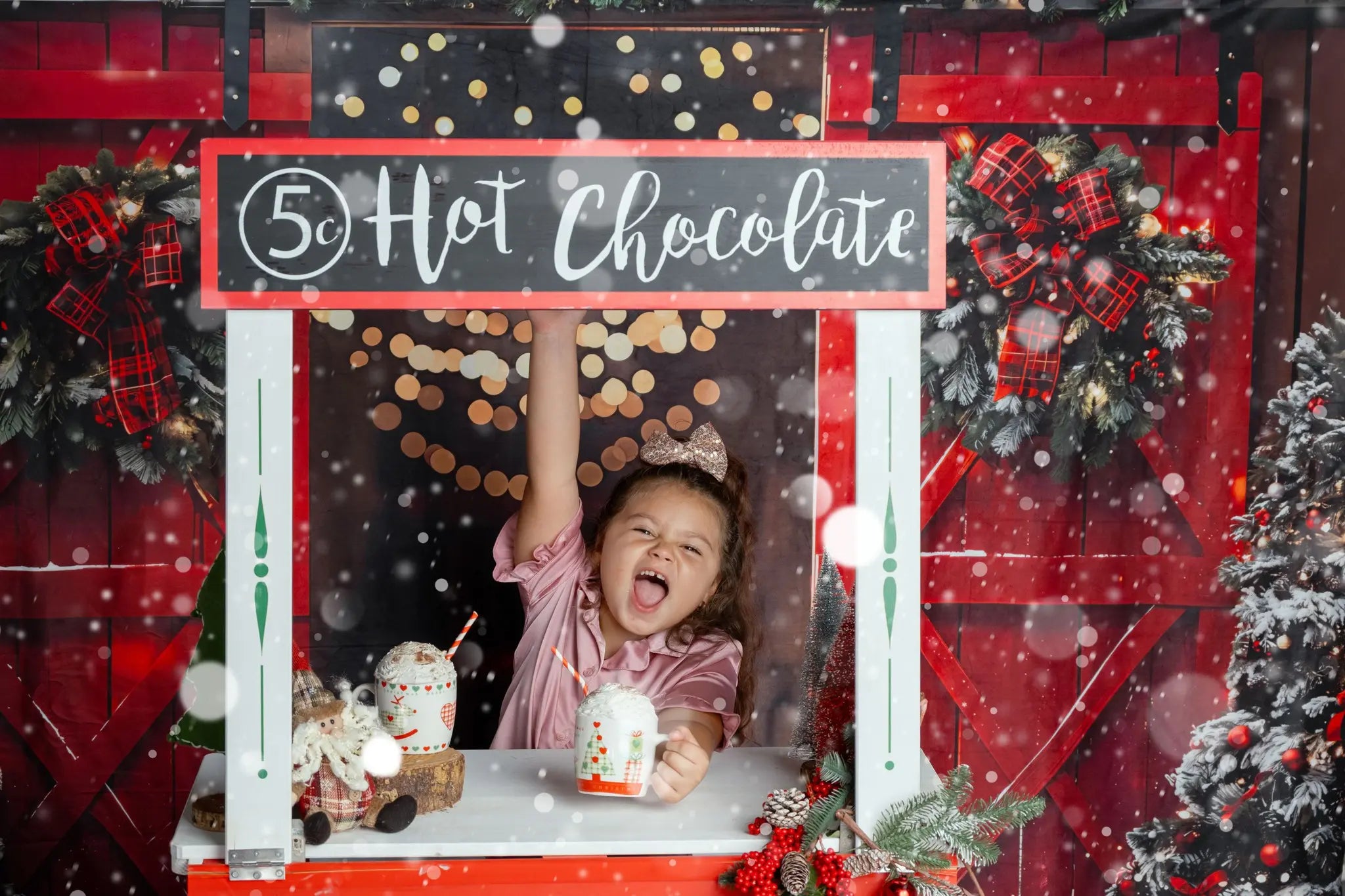 Kate Christmas Night Red Barn Door Backdrop Designed by Emetselch