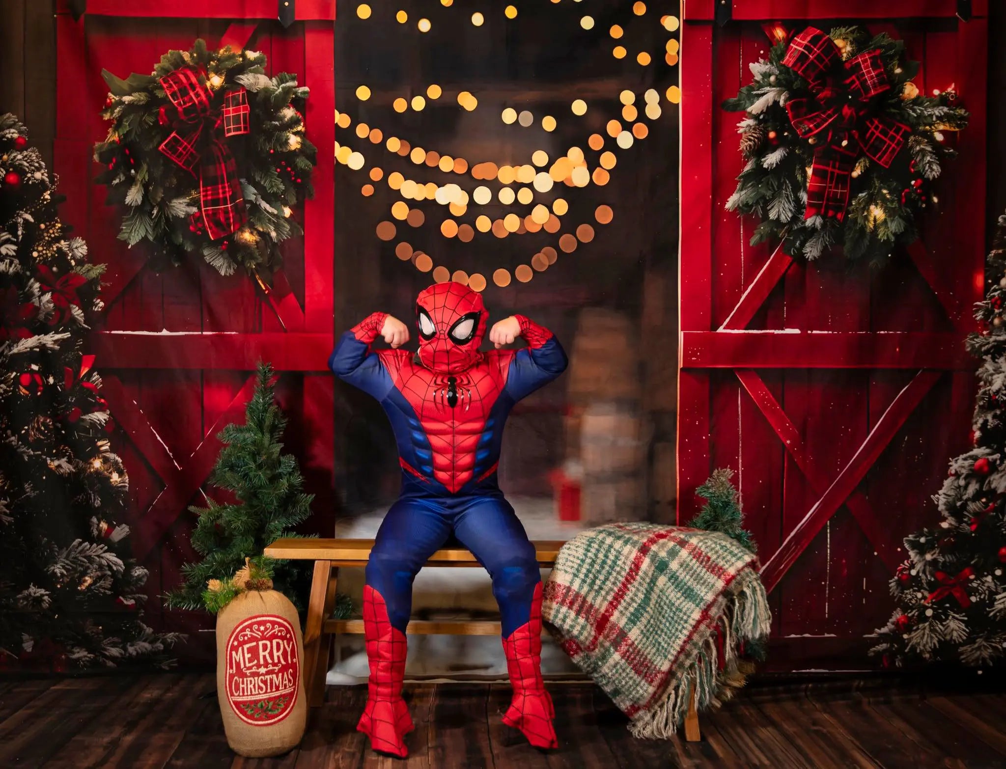 Kate Christmas Night Red Barn Door Backdrop Designed by Emetselch