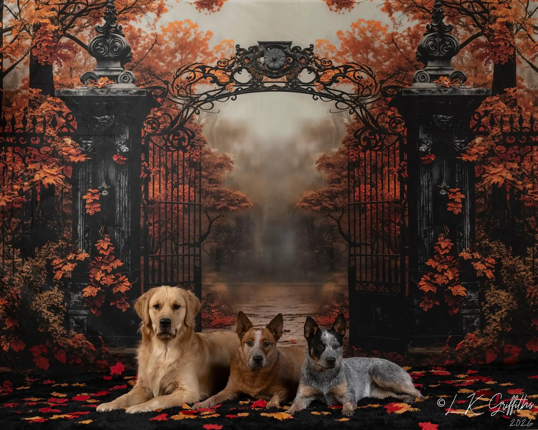 Fondo de árbol de arce vintage negro de hierro forjado de otoño diseñado por Emetselch
