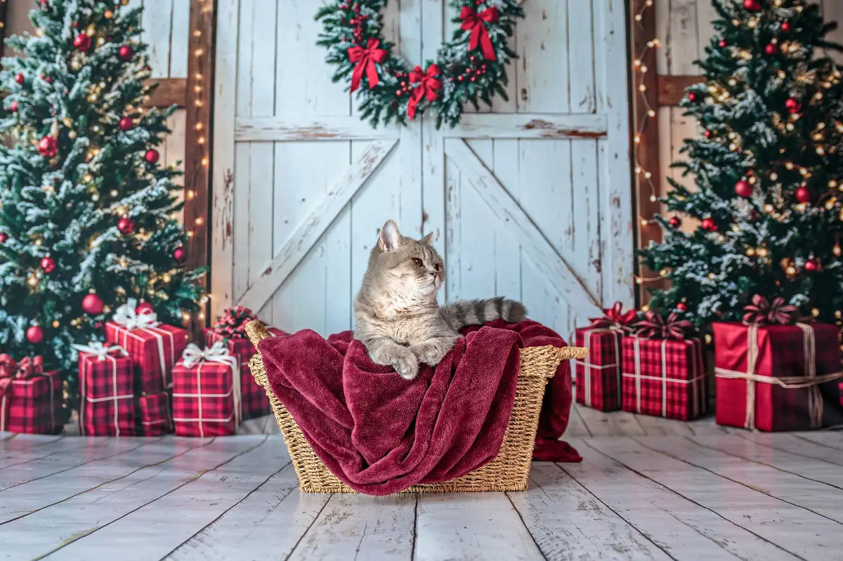 Kate Christmas Trees White Door Gifts Backdrop Designed by Emetselch