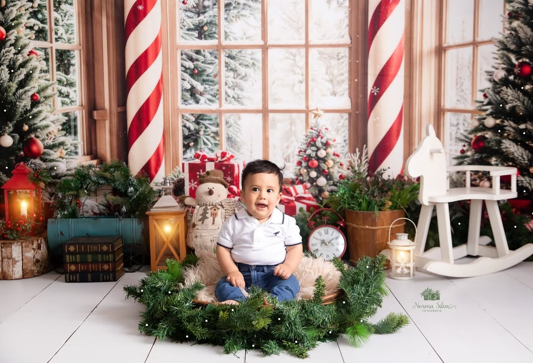 Kerstboom Arched Window Foto Achtergrond Designed by Emetselch