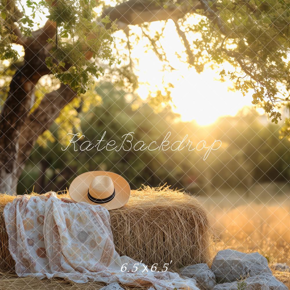 Sfondo per picnic country estivo al tramonto progettato da Patty Roberts