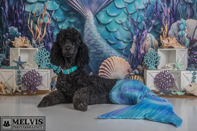 Coda di Sirena Sottomarina Sfondo di Conchiglie e Alga Designed by Emetselch