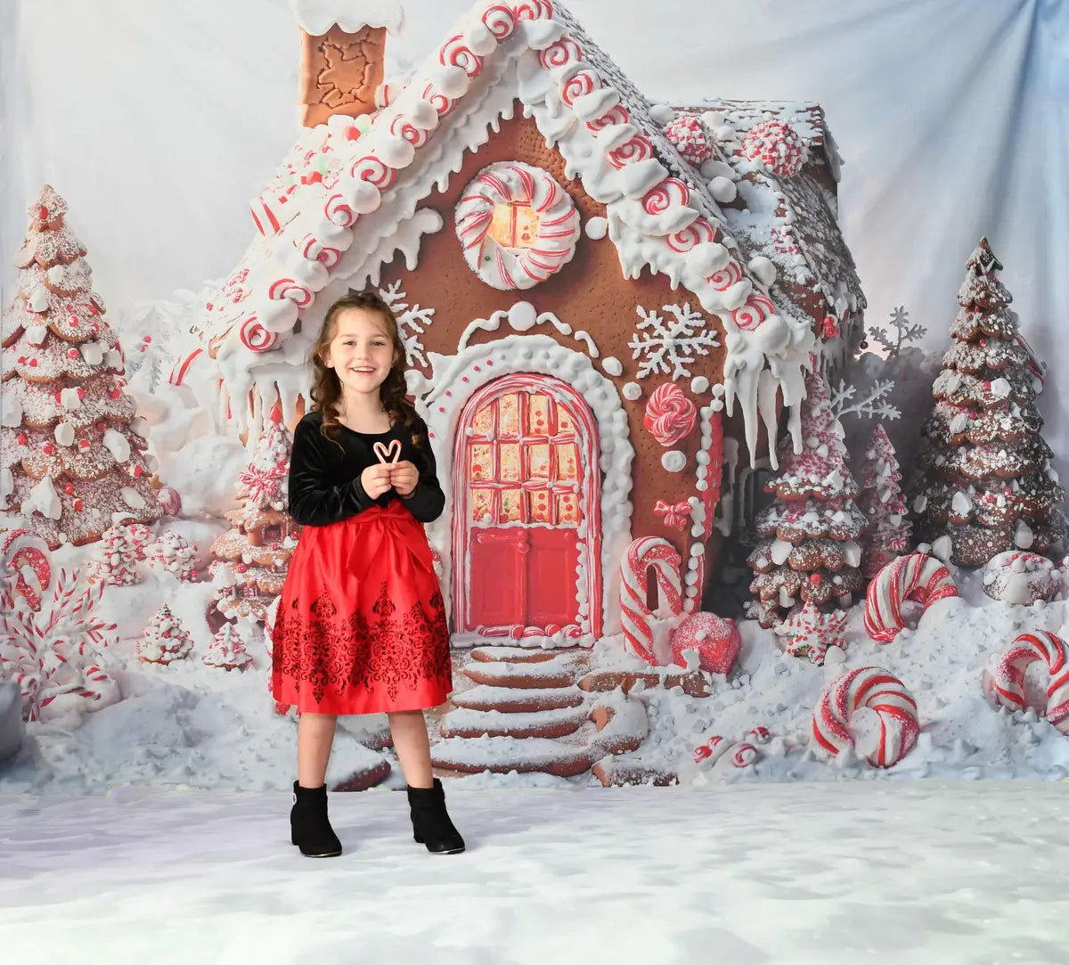 Kate Christmas Tree Gingerbread House Candy Cane Backdrop Designed by Emetselch