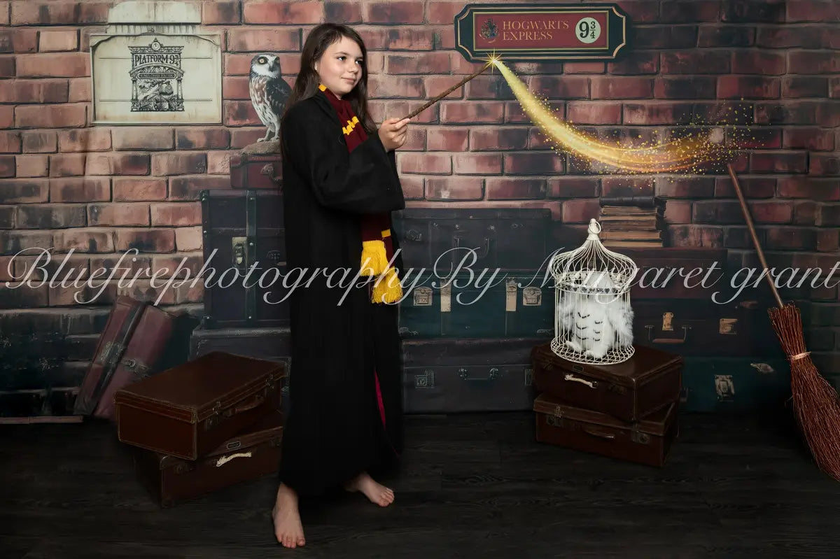 Kate Fantasy Magic Platform Owl Brick Backdrop Designed by Patty Roberts