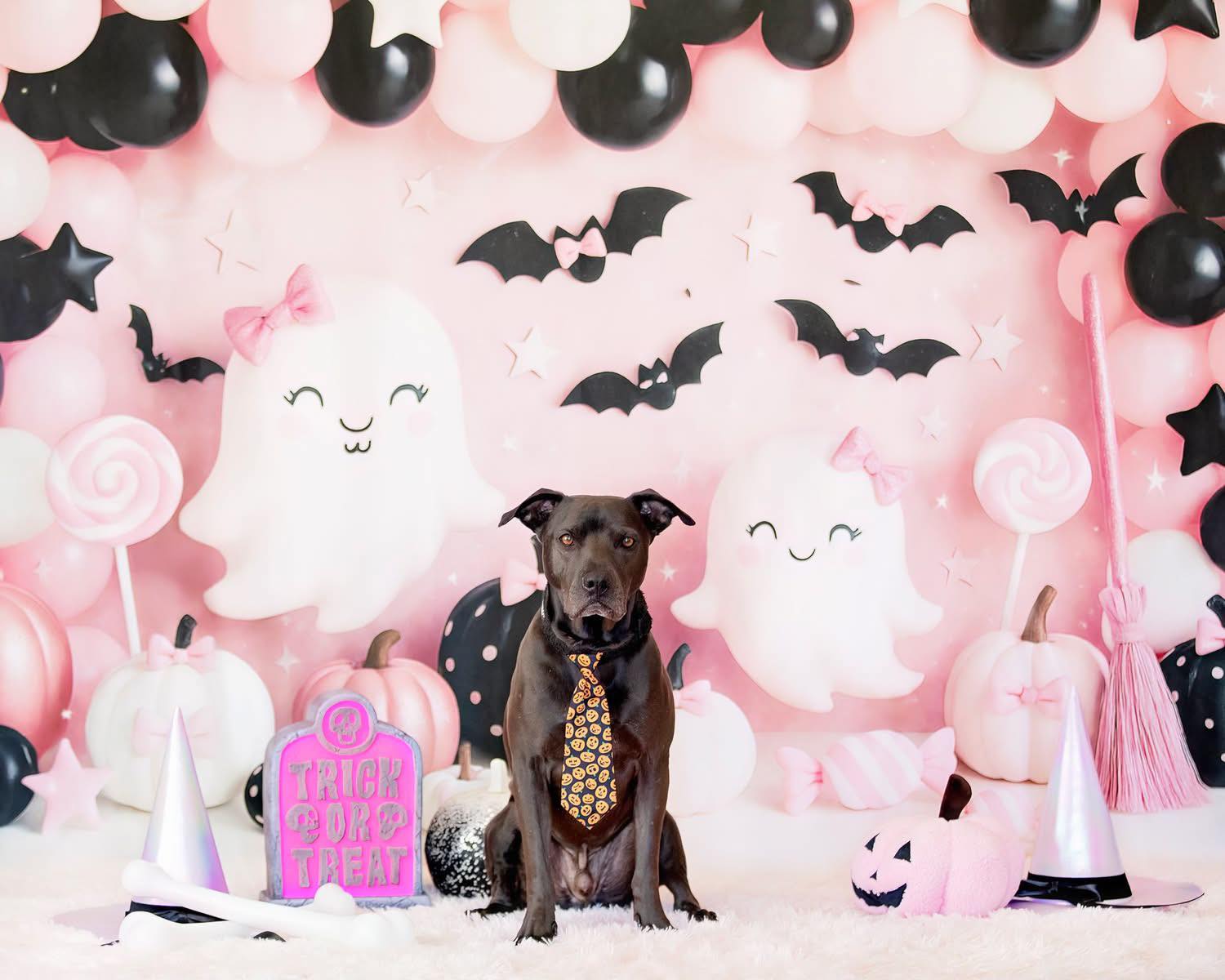 Halloween Cake Smash Pink Ghost Balloons Backdrop Designed by Ashley Paul