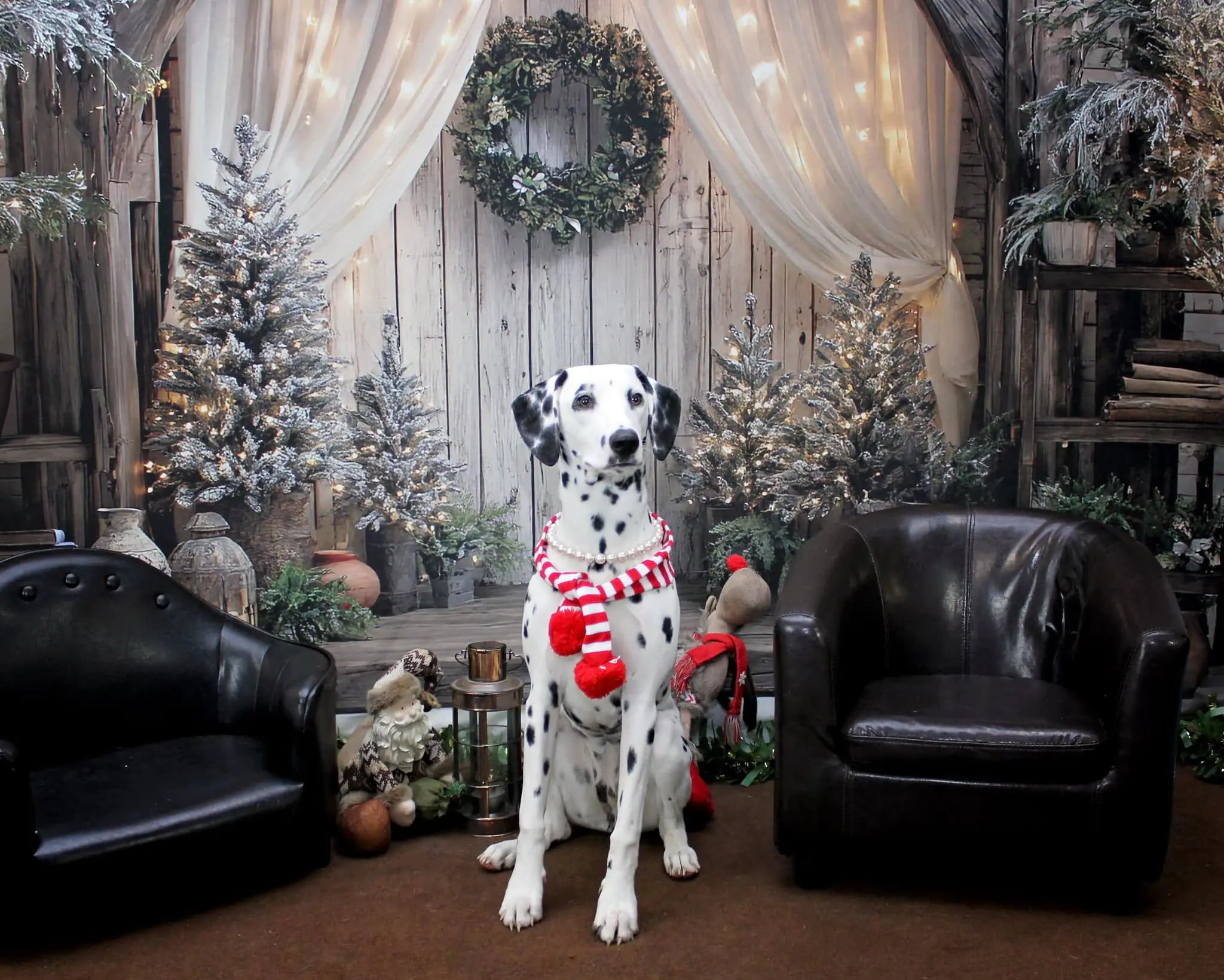 Kate Christmas Rustic Wood Arch Wreath String Lights Lanterns Trees Backdrop Designed by Ashley Paul