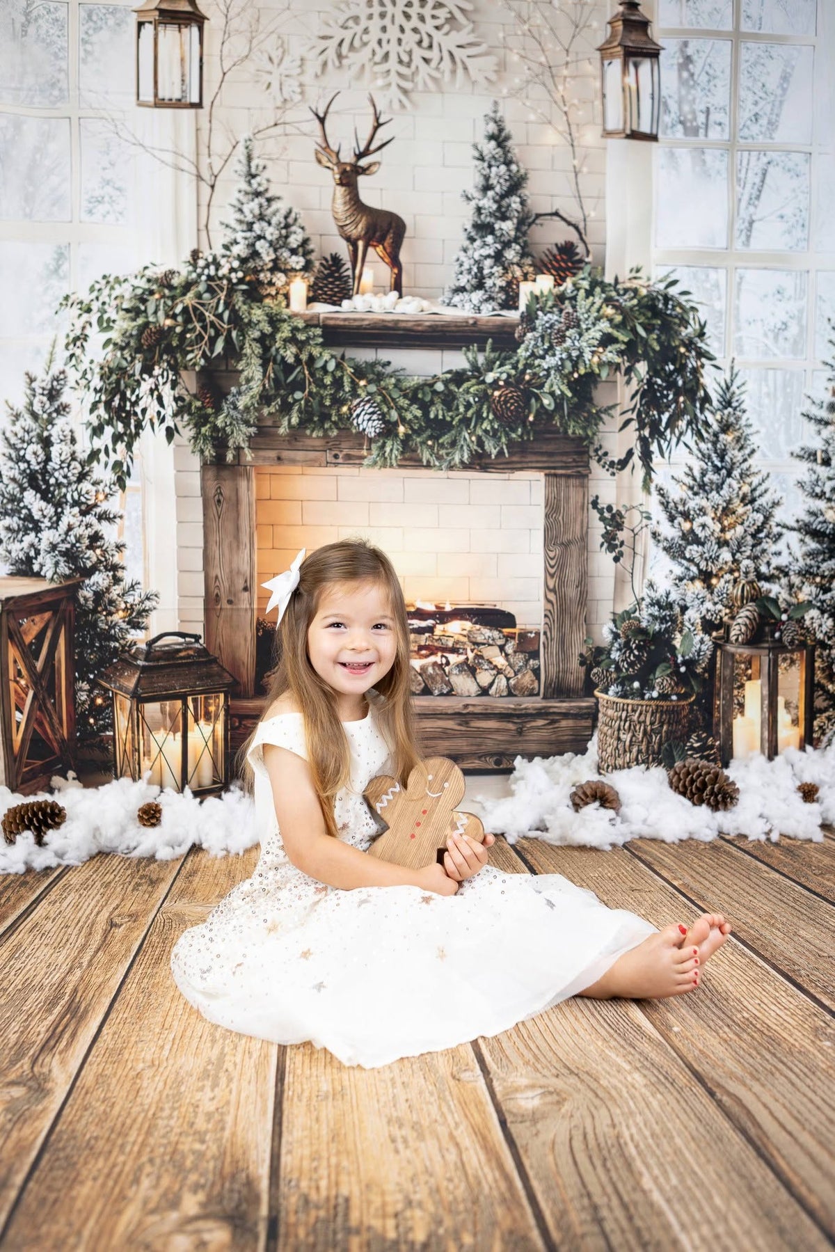 Kate Christmas Fireplace Snowy Trees Lanterns Reindeer Window Printed Backdrop Designed by Emetselch