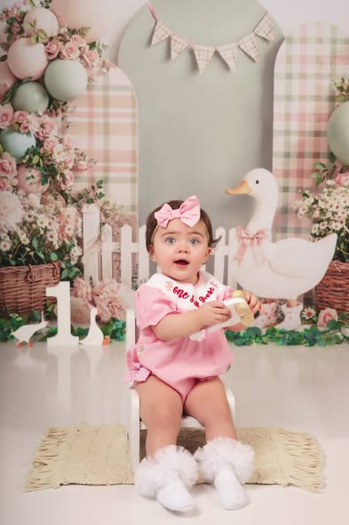 Kate Cake Smash Silly Goose Flower Arch Plaid Balloons Picket Fence Backdrop Designed by Emetselch