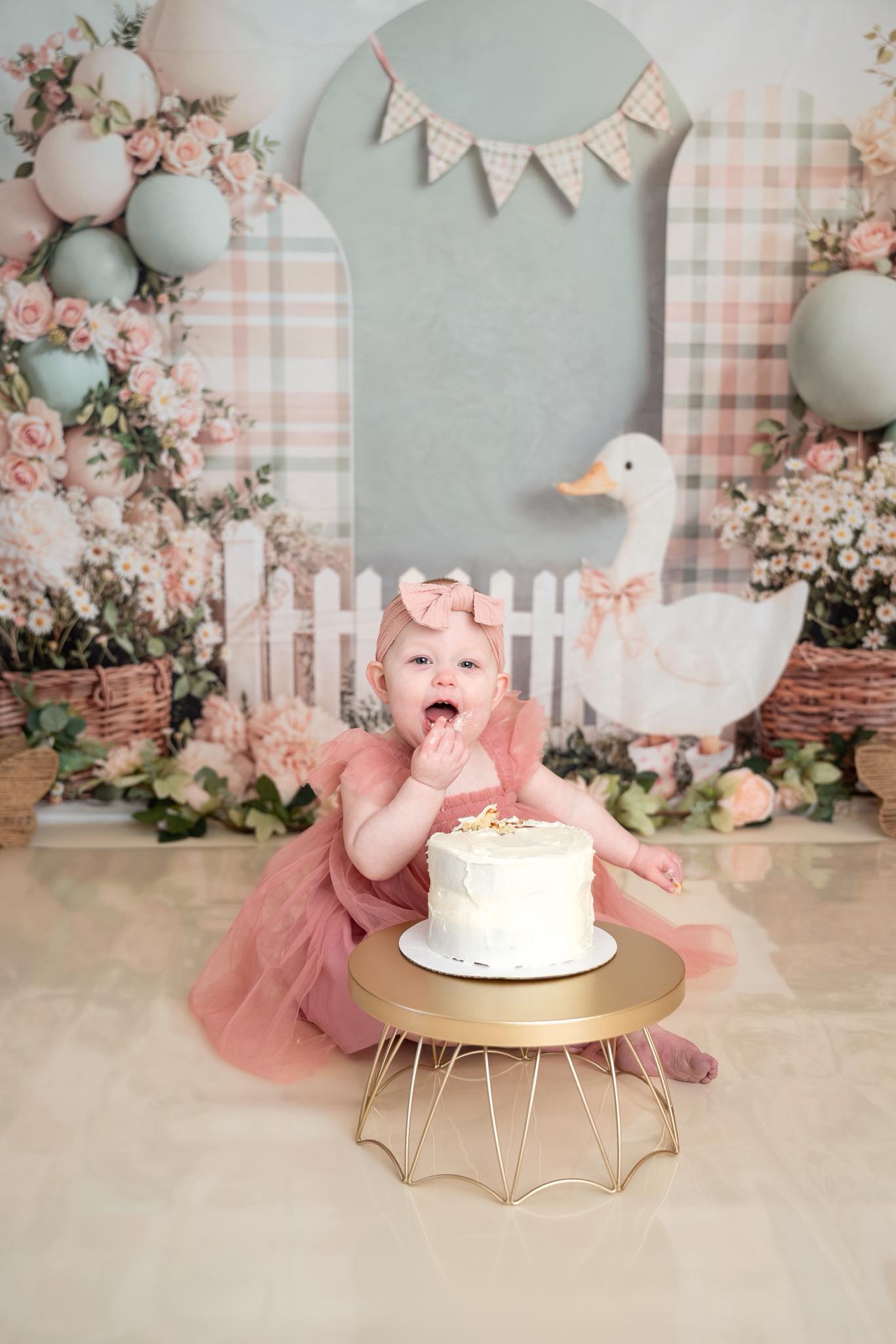 Kate Cake Smash Silly Goose Flower Arch Plaid Balloons Picket Fence Backdrop Designed by Emetselch
