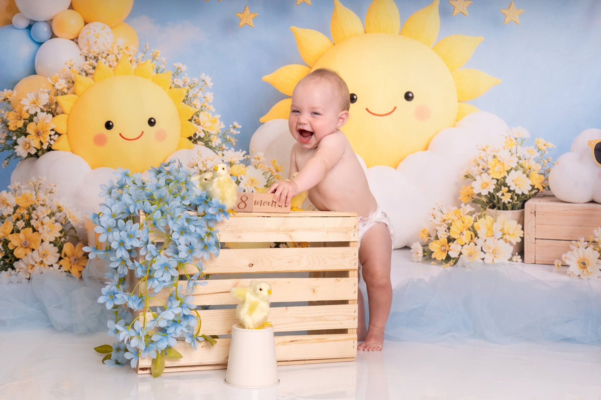 Kate Summer Sun Cloud Daisy Balloon Arch Printed Backdrop Designed by Caitlin Lynch