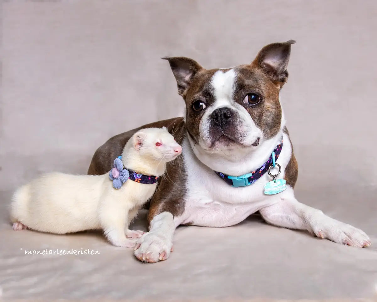 Effen lichte crème Vinyl vloerachtergrond