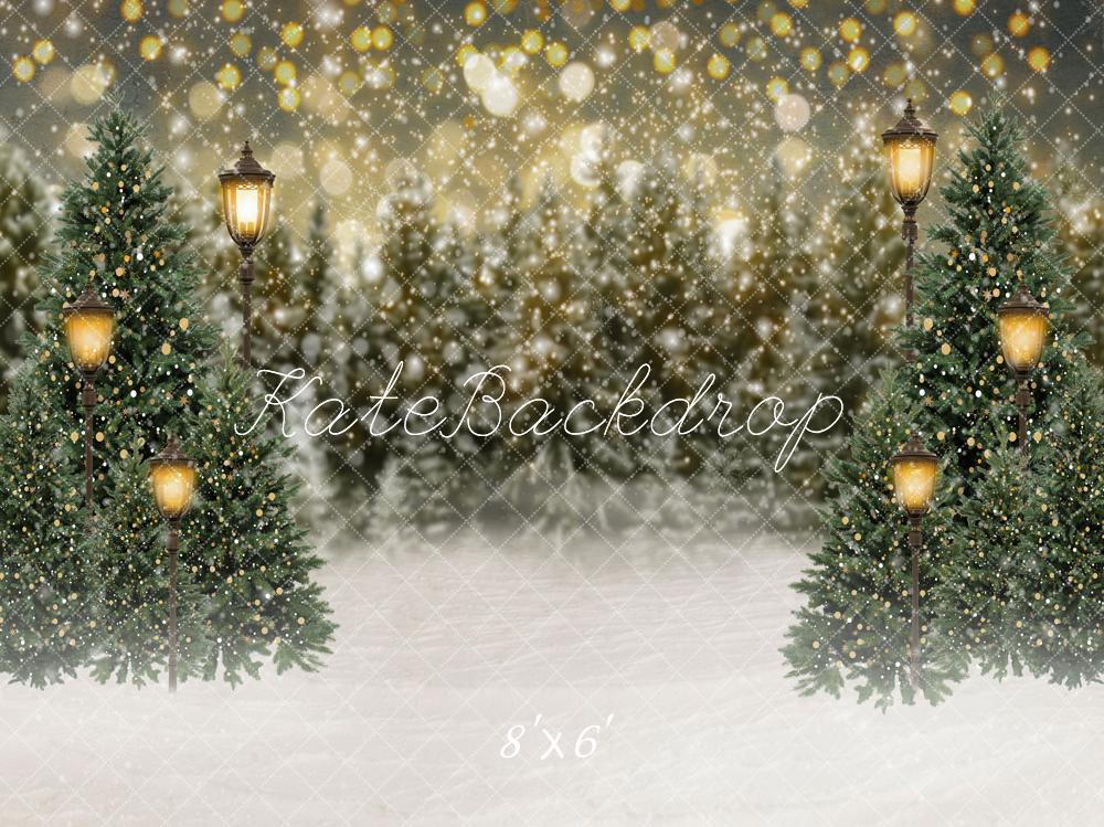 Kate Christmas Winter Lantern Lights Outdoor Snowy Pine Forest Backdrop for Photography
