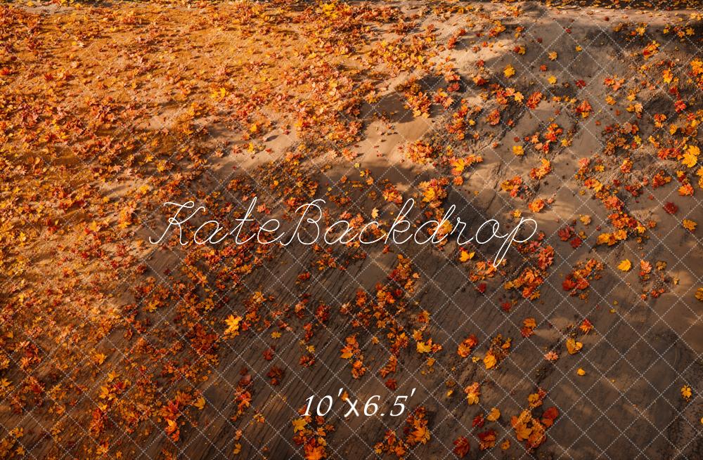 Kate Fall Leaves Ground Floor Backdrop Designed by Emetselch