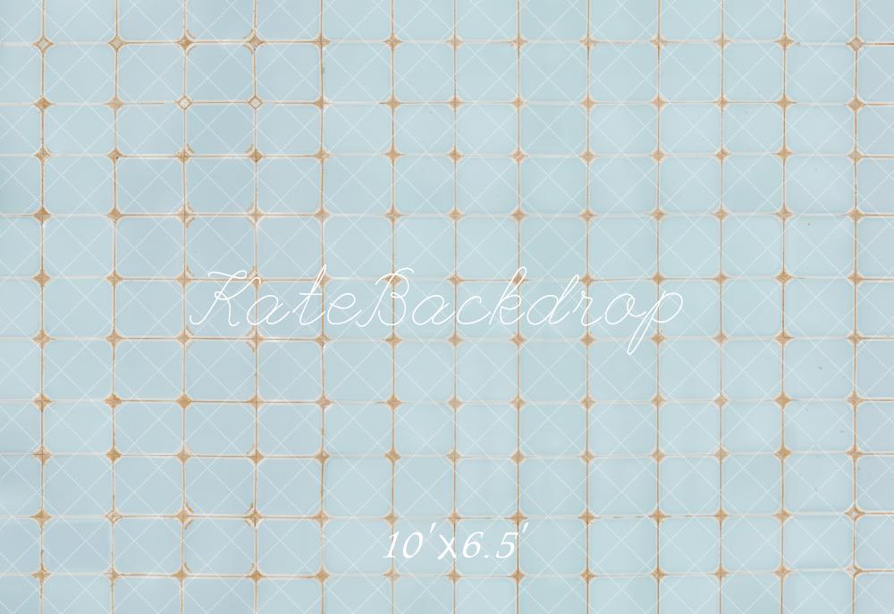 Kate Vintage Blue Tile Pattern Floor Backdrop Designed by Emetselch
