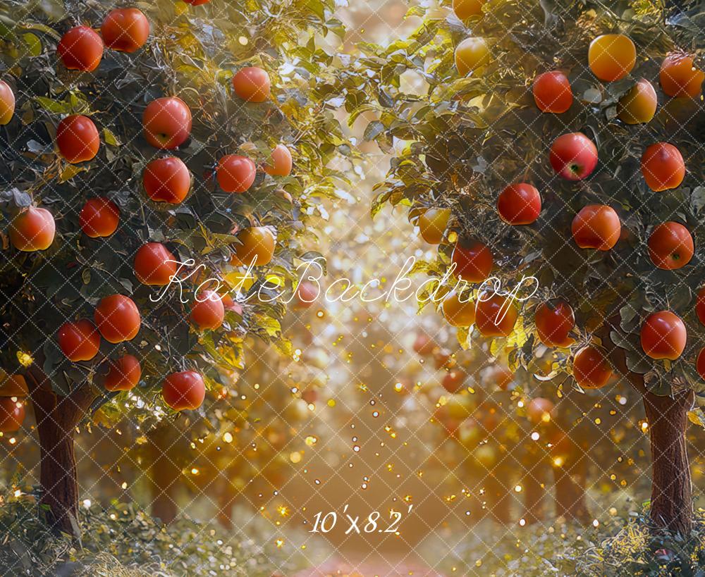 BH8055838U